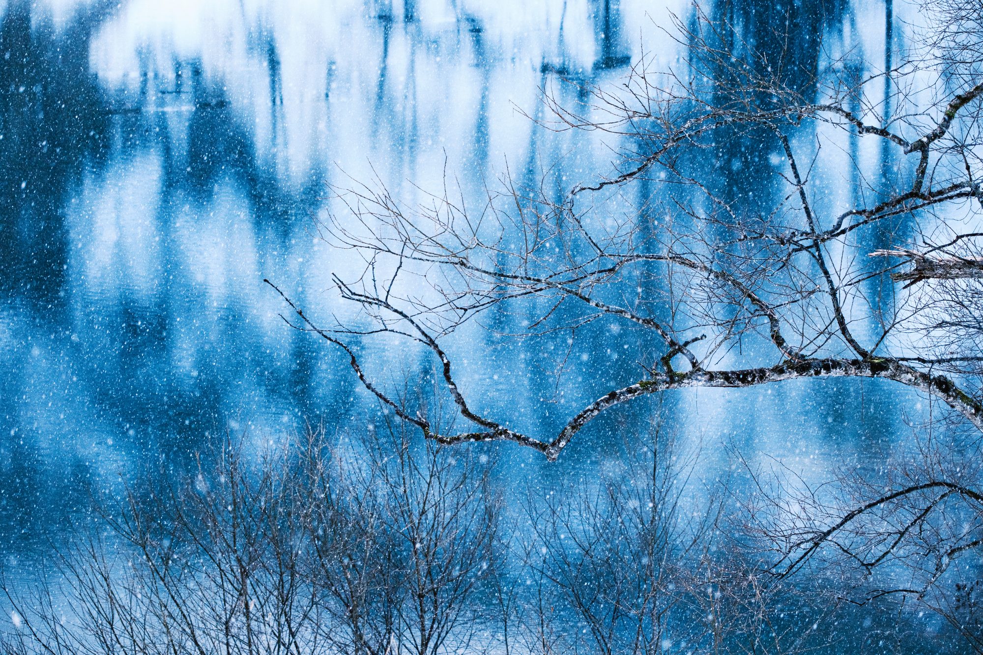 冬 · 寂靜 Stillness